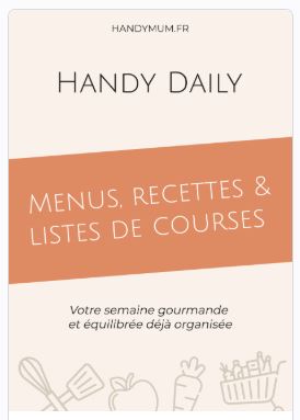 Handy Daily